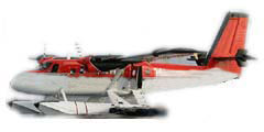 DHC-6